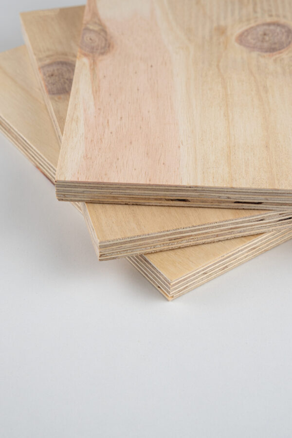 CDX 100% Pinus - Imagem 2