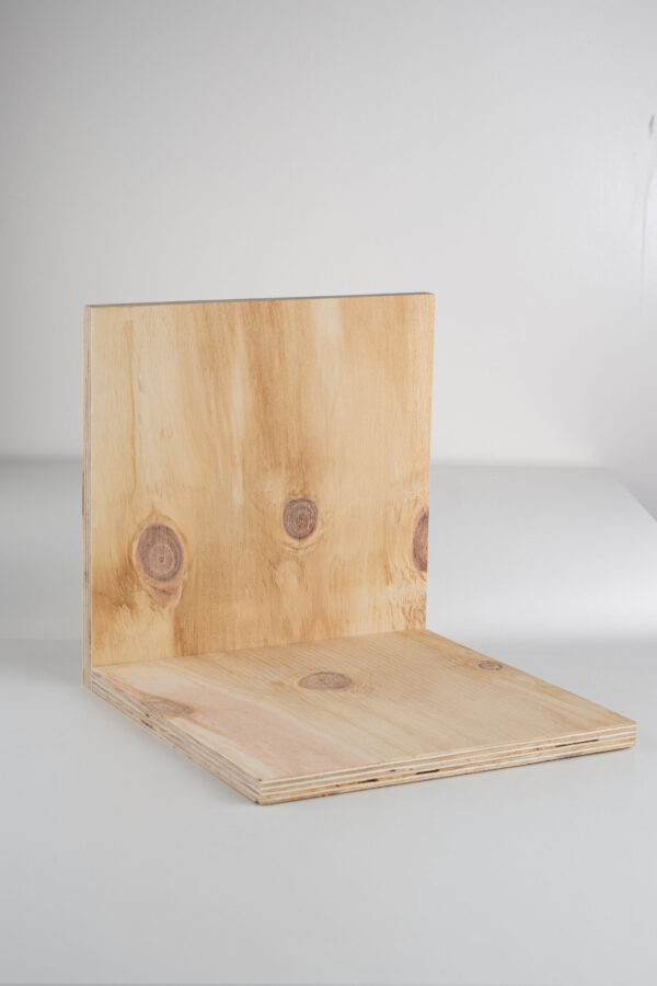 CDX 100% Pinus - Imagem 3