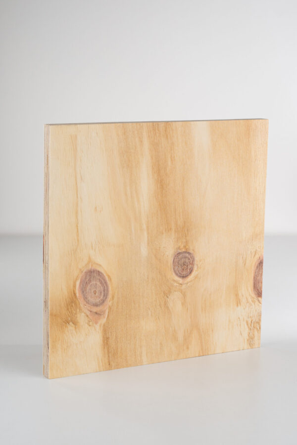 CDX 100% Pinus - Imagem 4