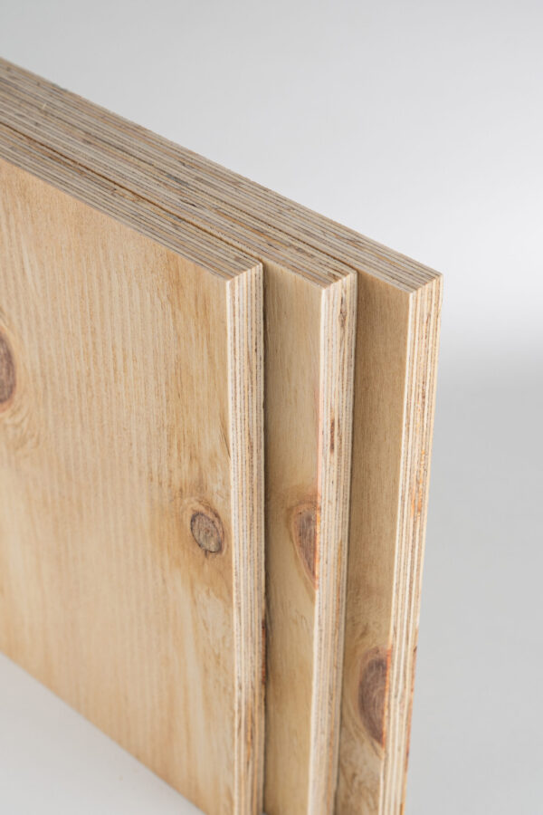 CDX 100% Pinus - Imagem 6